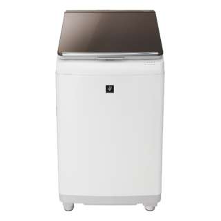 洗濯乾燥機 （洗濯10.0kg／乾燥5.0kg）　ES-PT10D-T ブラウン系 【ヒーター乾燥機能付】
