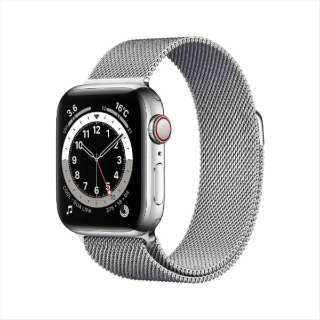 Apple Watch Series 6iGPS + Cellularfj- 40mmVo[XeXX`[P[XƃVo[~l[[[v M06U3J/A