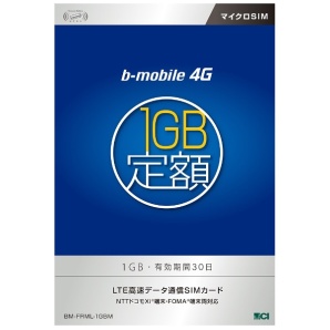 yb-mobilez 3GE4G@1GBzpbP[Wi30ԁj i}CNSIMj@BM-FRML-1GBM